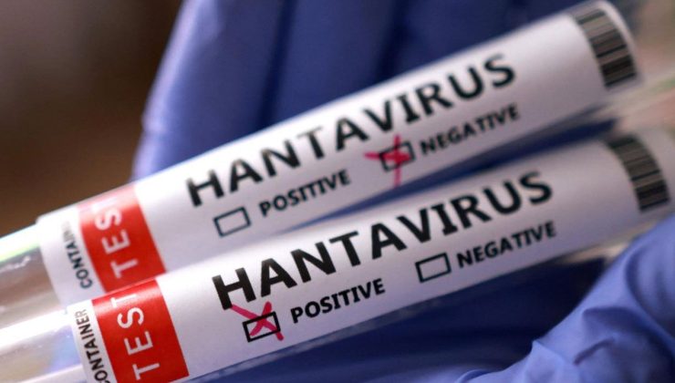 Türkiye’de hantavirüs riski var mı?