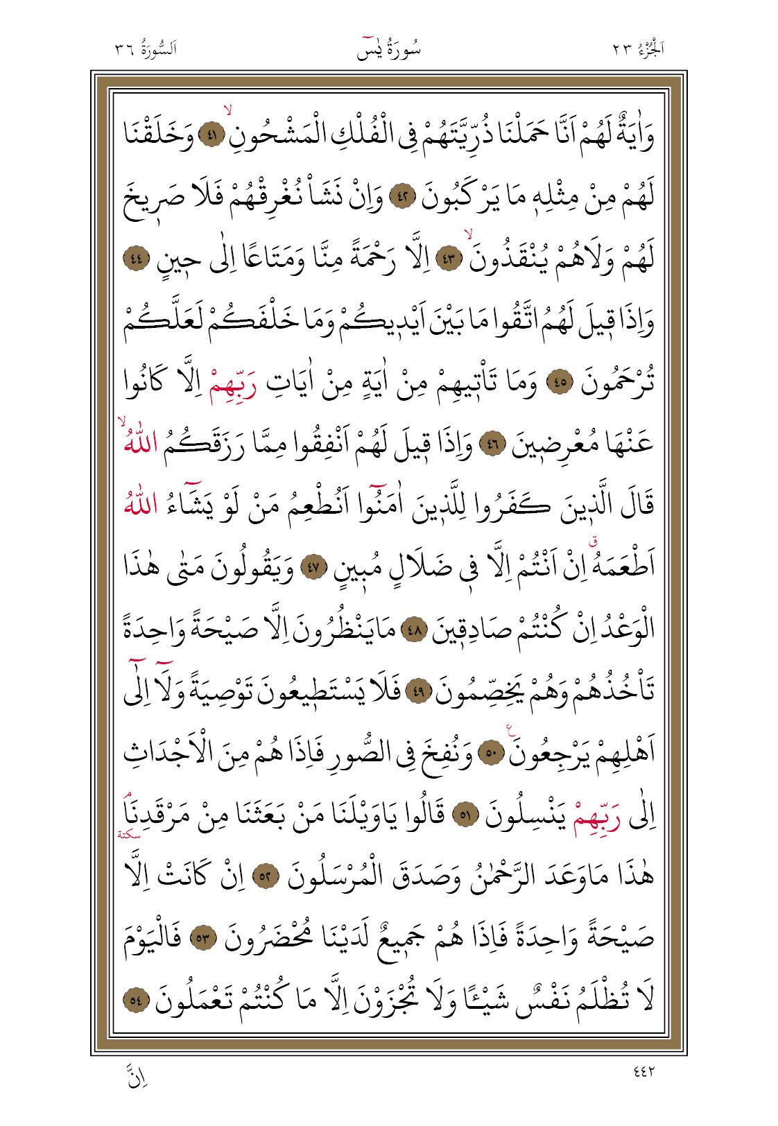 442 Diyanet Bilgisayar Hatlı Kur'an I Kerim 23. Cüz Yasin Suresi 442. Sayfa Oku