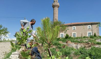 Cami bahçesi geleceğe nefes olacak