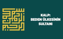 Kalp: Beden Ülkesinin Sultanı