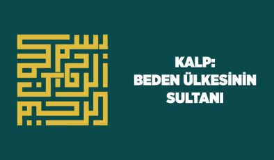 Kalp: Beden Ülkesinin Sultanı