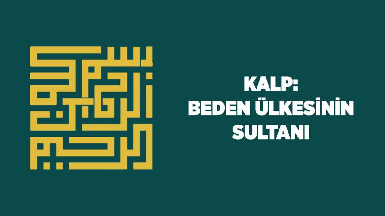 Kalp: Beden Ülkesinin Sultanı
